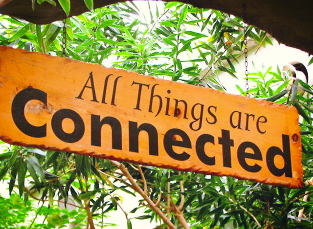 all things are connected